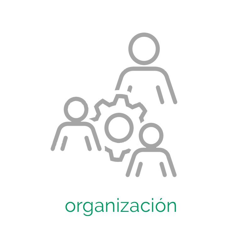 03ORGANIZACION_4.png