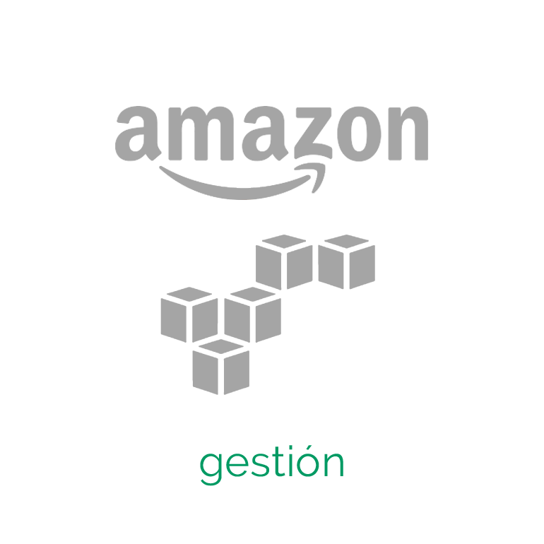 04AMAZON_4.png